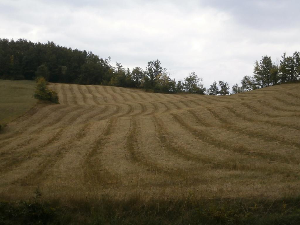 Вілла Societa Agricola Cacigolara Борґо-Валь-ді-Таро Екстер'єр фото