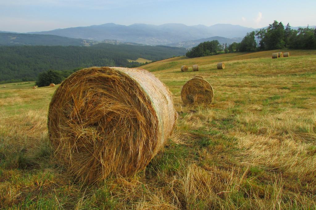 Вілла Societa Agricola Cacigolara Борґо-Валь-ді-Таро Екстер'єр фото
